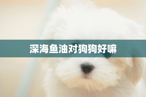 深海魚油對狗狗好嘛