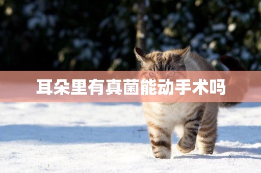 耳朵里有真菌能動手術嗎