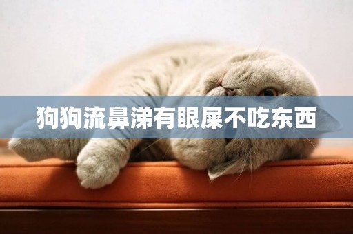 狗狗流鼻涕有眼屎不吃東西