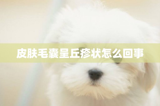 皮膚毛囊呈丘疹狀怎么回事