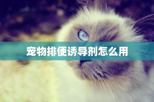 寵物排便誘導劑怎么用