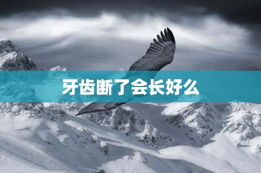 牙齒斷了會長好么