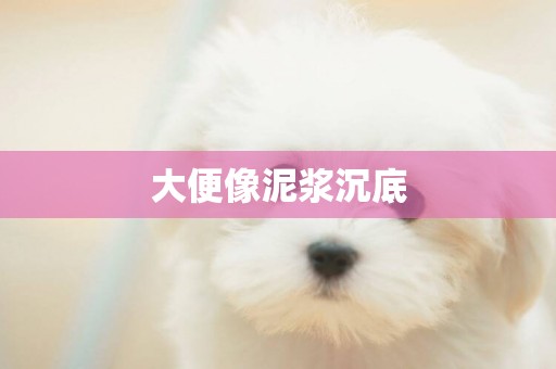 大便像泥漿沉底