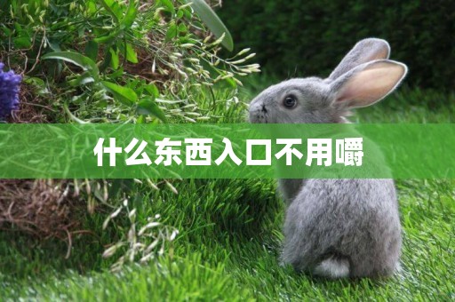 什么東西入口不用嚼