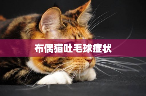 布偶貓吐毛球癥狀