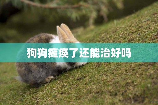 狗狗癱瘓了還能治好嗎