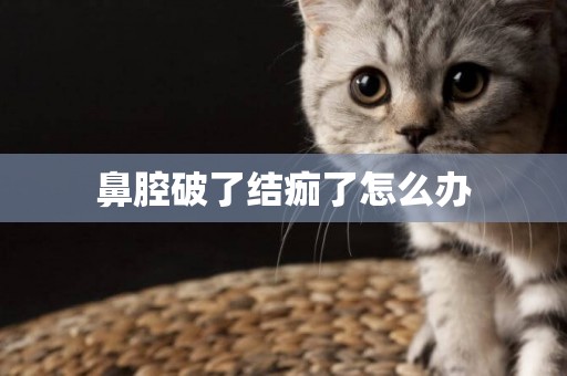 鼻腔破了結痂了怎么辦