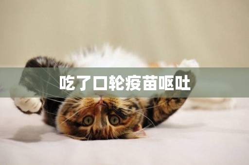 吃了口輪疫苗嘔吐