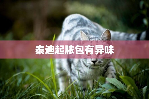 泰迪起膿包有異味