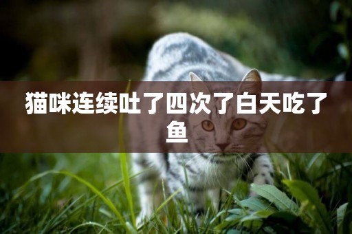 貓咪連續吐了四次了白天吃了魚