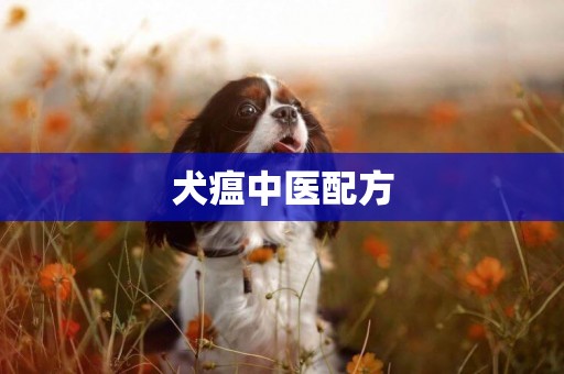 犬瘟中醫配方