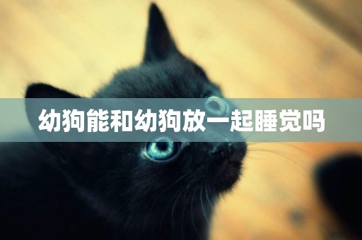 幼狗能和幼狗放一起睡覺嗎