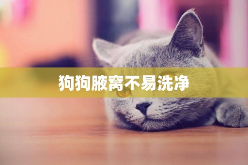 狗狗腋窩不易洗凈