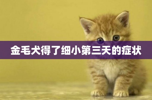金毛犬得了細小第三天的癥狀