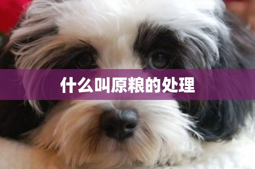 什么叫原糧的處理