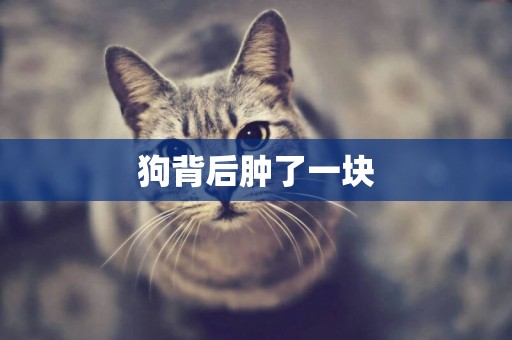狗背后腫了一塊