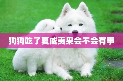 狗狗吃了夏威夷果會不會有事