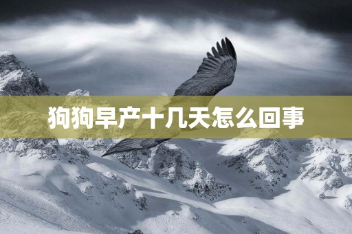 狗狗早產十幾天怎么回事
