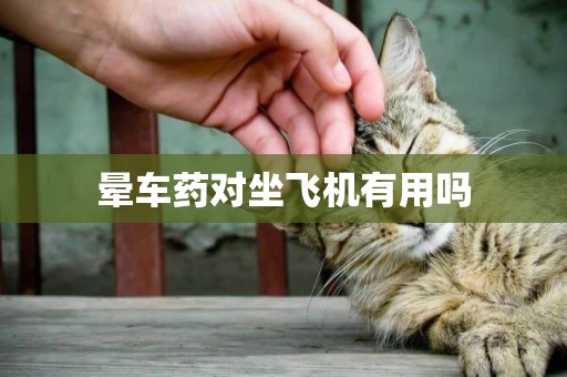 暈車藥對坐飛機有用嗎