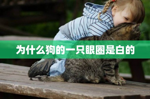 為什么狗的一只眼圈是白的