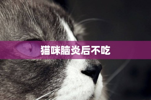 貓咪腦炎后不吃