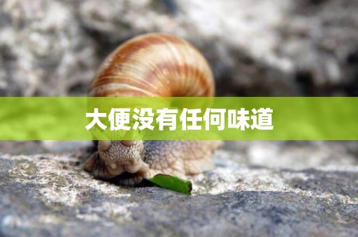大便沒有任何味道