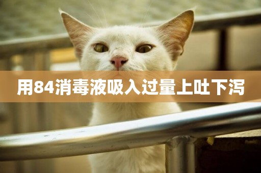 用84消毒液吸入過量上吐下瀉