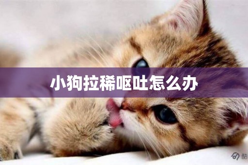 小狗拉稀嘔吐怎么辦