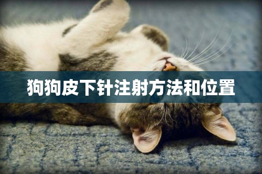 狗狗皮下針注射方法和位置