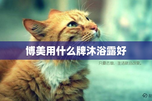 博美用什么牌沐浴露好