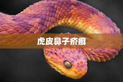 虎皮鼻子疥癬
