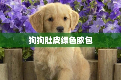 狗狗肚皮綠色膿包