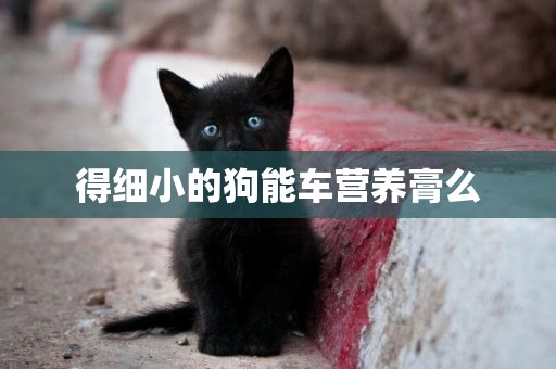 得細小的狗能車營養膏么