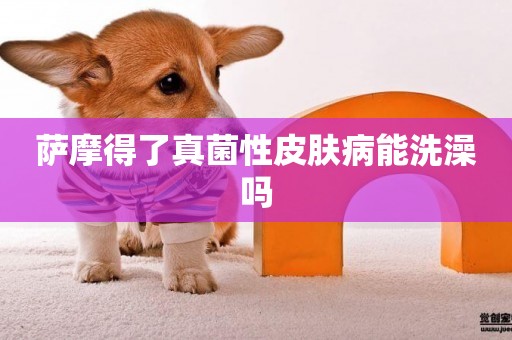 薩摩得了真菌性皮膚病能洗澡嗎