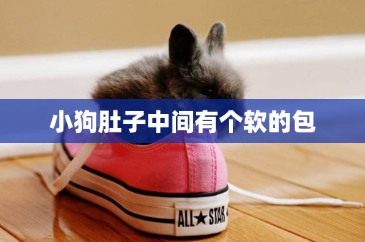 小狗肚子中間有個軟的包