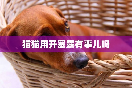 貓貓用開塞露有事兒嗎