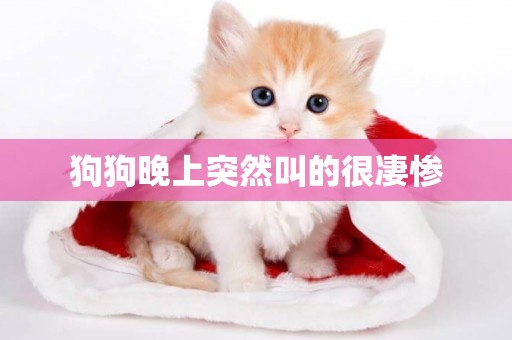 狗狗晚上突然叫的很凄慘