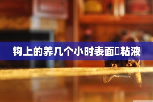 鉤上的養幾個小時表面沒粘液