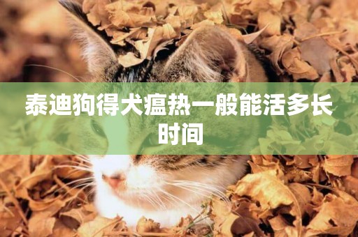 泰迪狗得犬瘟熱一般能活多長時間
