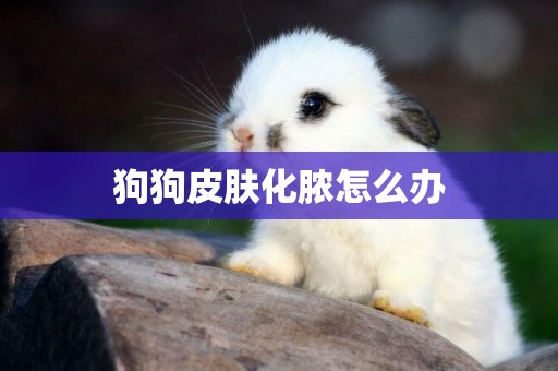 狗狗皮膚化膿怎么辦