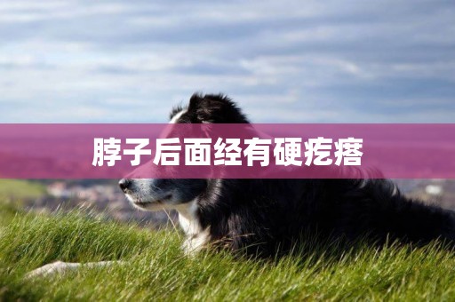 脖子后面經有硬疙瘩