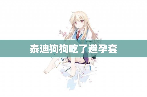 泰迪狗狗吃了避孕套