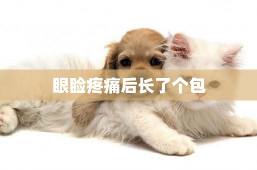 眼瞼疼痛后長了個包