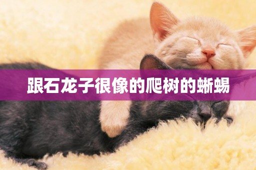 跟石龍子很像的爬樹的蜥蜴
