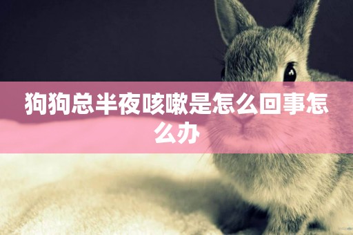 狗狗總半夜咳嗽是怎么回事怎么辦