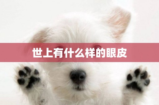世上有什么樣的眼皮