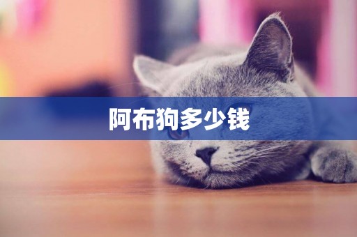 阿布狗多少錢