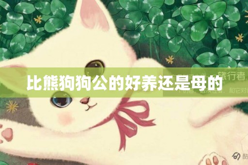 比熊狗狗公的好養還是母的