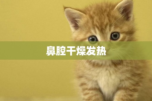 鼻腔干燥發熱
