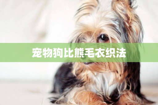 寵物狗比熊毛衣織法